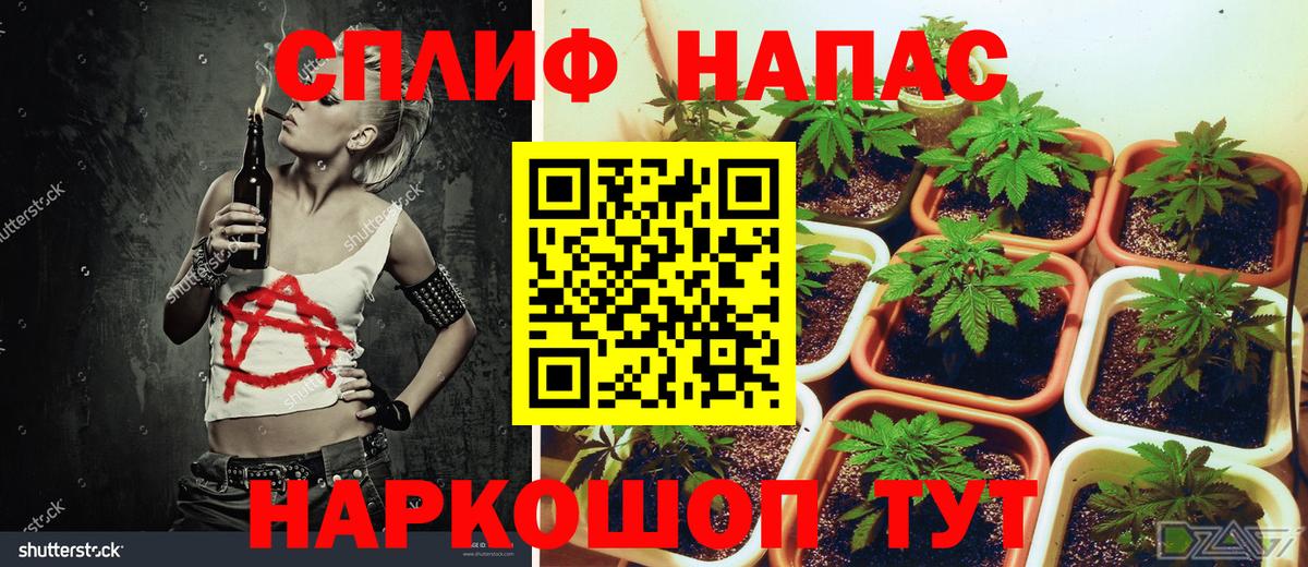 Конопля ГИДРОПОН Минеральные Воды